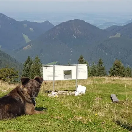 Alte Post מלון 4*