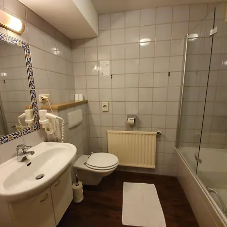 מלון Alte Post 4*